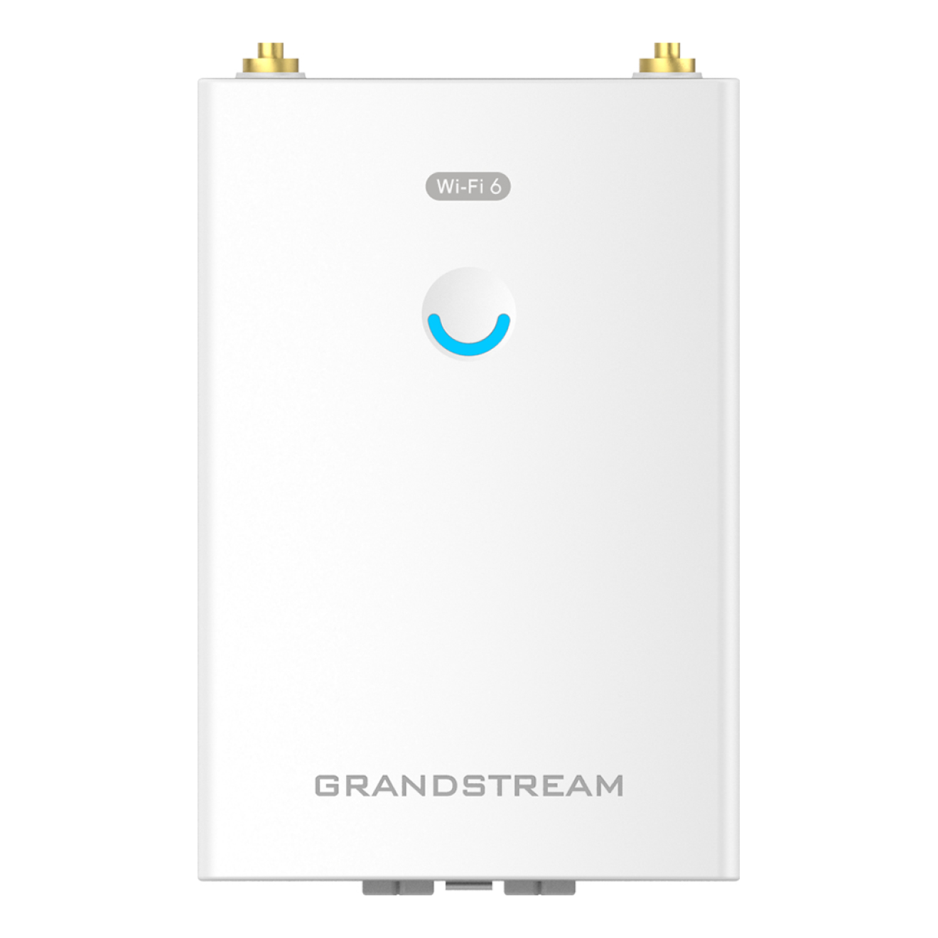 Access Point para interior Dual Band Grandstream GWN7660LR