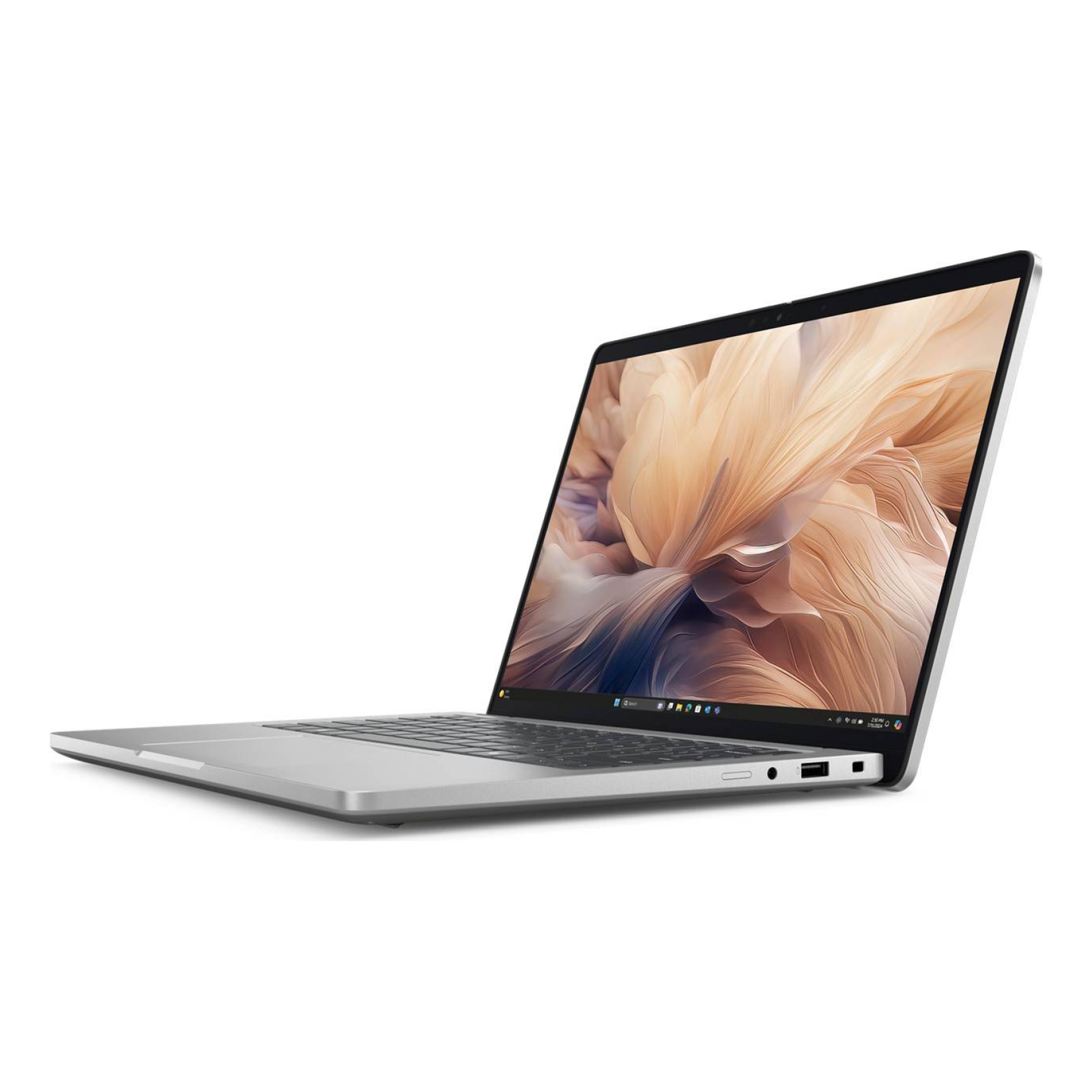 Laptops DELL PRO 14