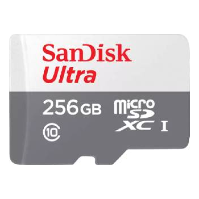 Memorias Flash SANDISK SDSQUNR-256G-GN6TA
