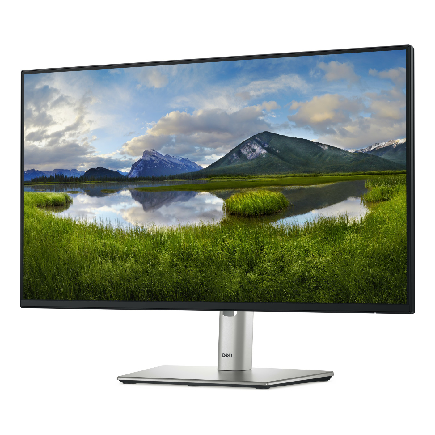 Monitores DELL P2425HE