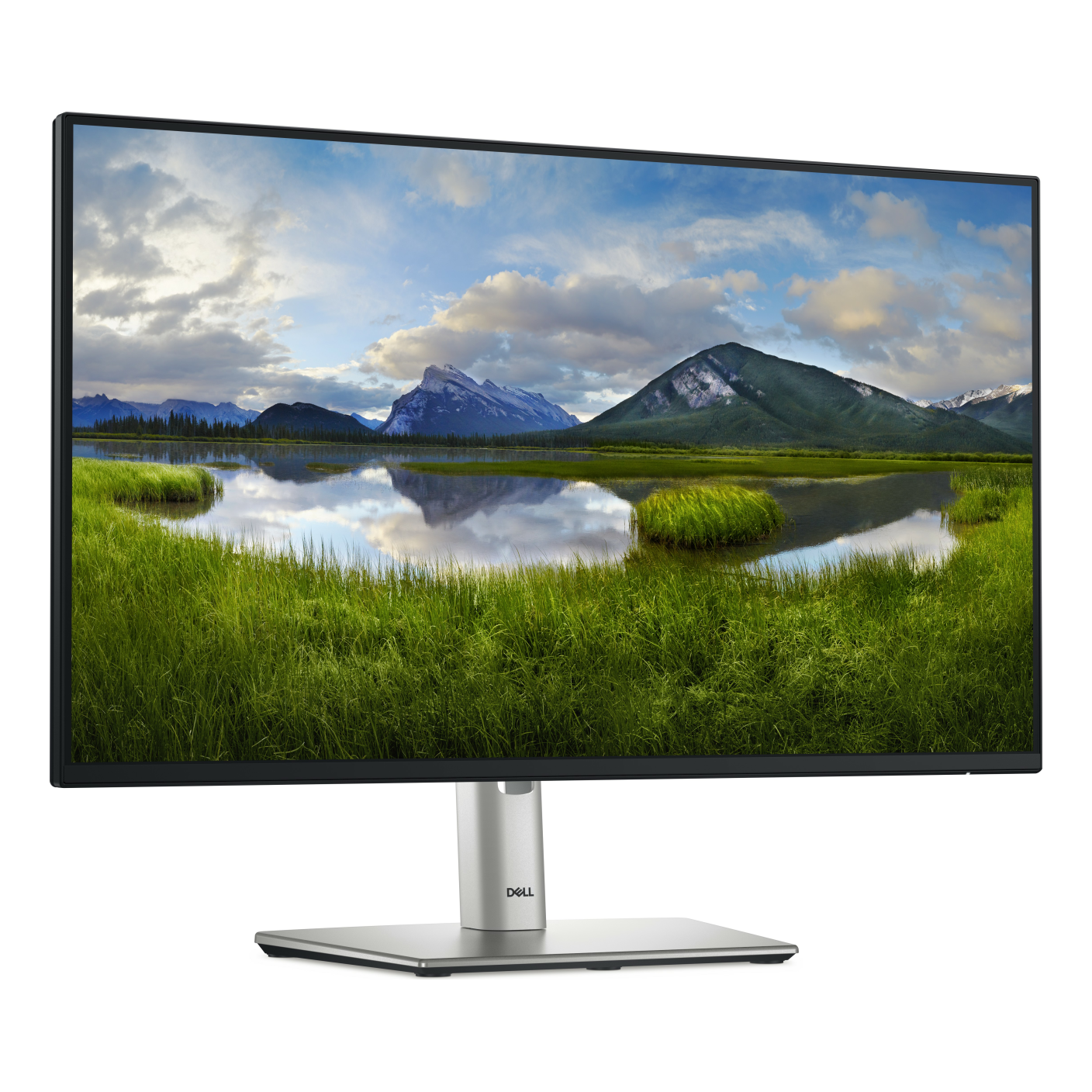 Monitores DELL P2425HE