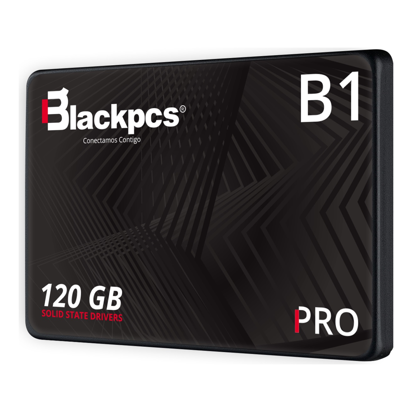 SSD Blackpcs AS2O1-120