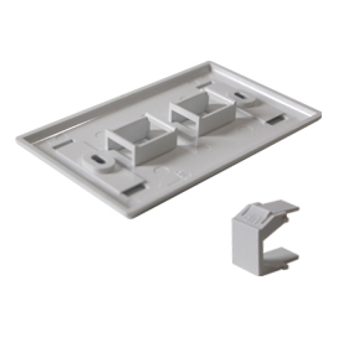 Placa de Pared 2 Puertos BELDEN AX102655