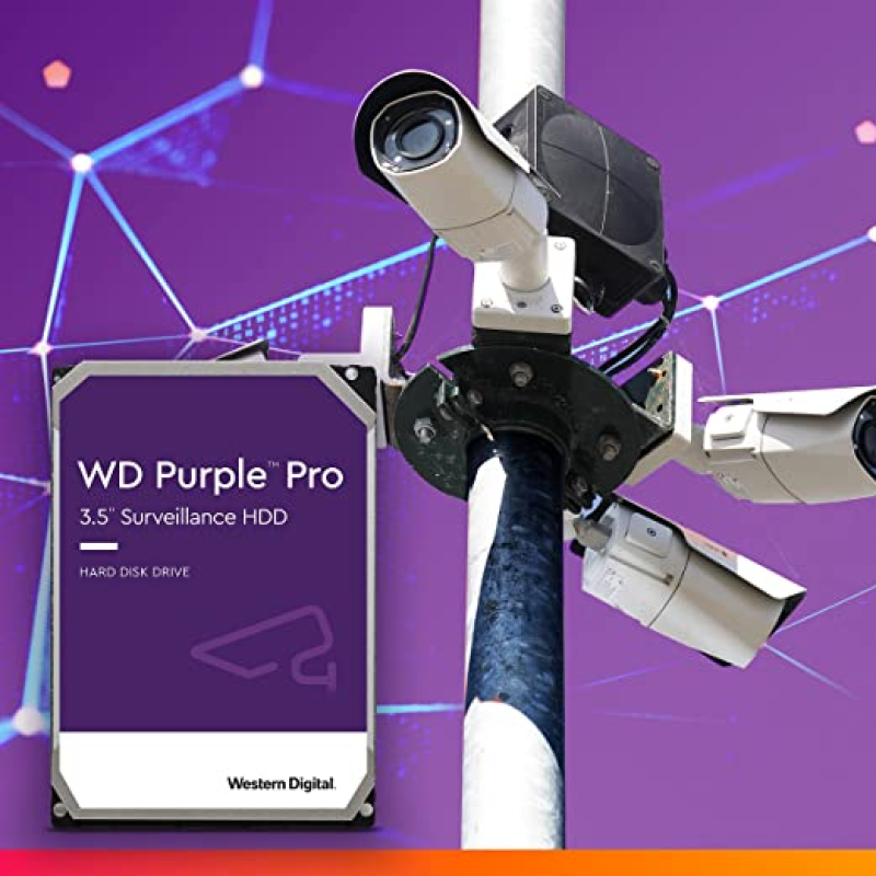 Disco Duro Interno WESTERN DIGITAL WD101PURP