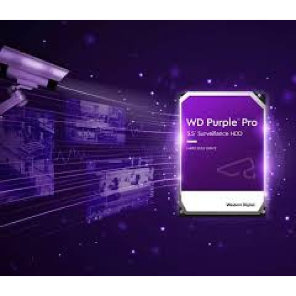 Disco Duro Interno WESTERN DIGITAL WD101PURP