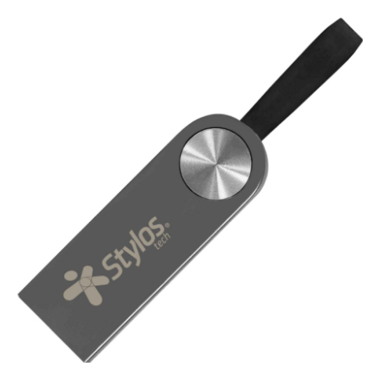 Memoria RAM Stylos STMUS316B