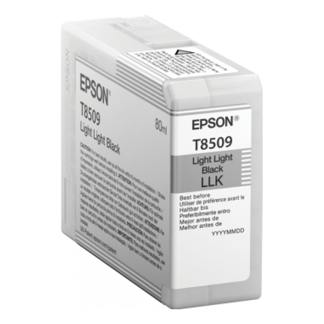 Cartucho EPSON T850900
