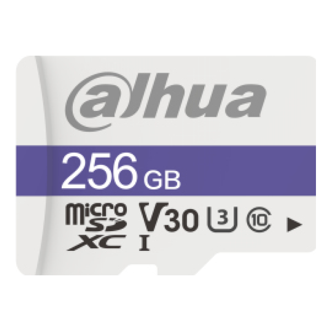 Tarjeta de Memoria microSDXC Dahua Technology C100 256 GB (DHI-TF-C100/256GB)
