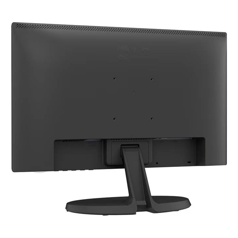 Monitor LG 19BA300
