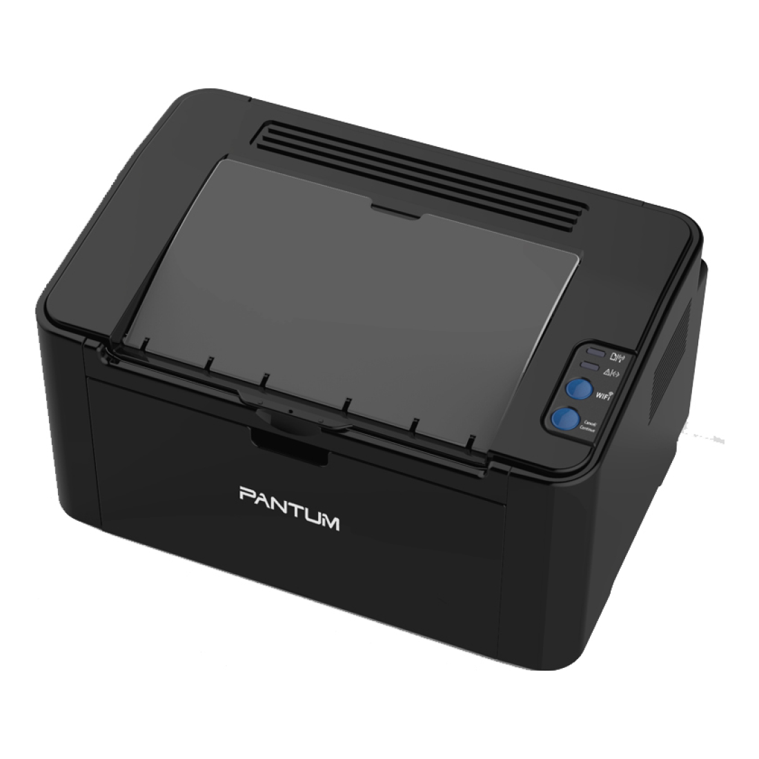 Impresora Pantum P2500W
