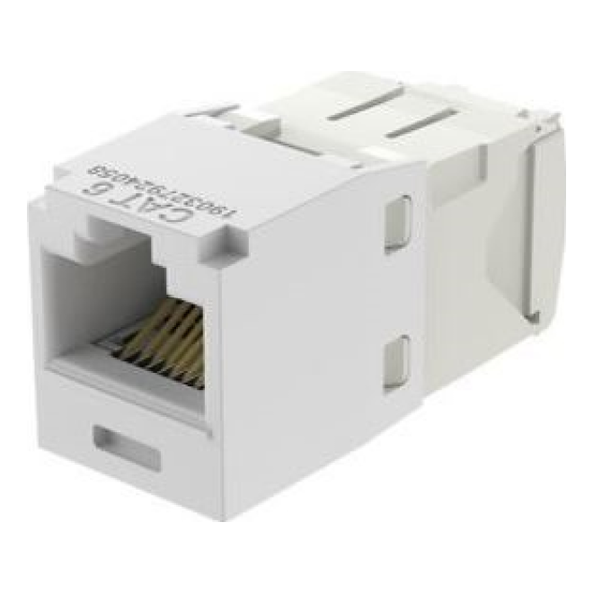 Jack PANDUIT CJ688TGWH