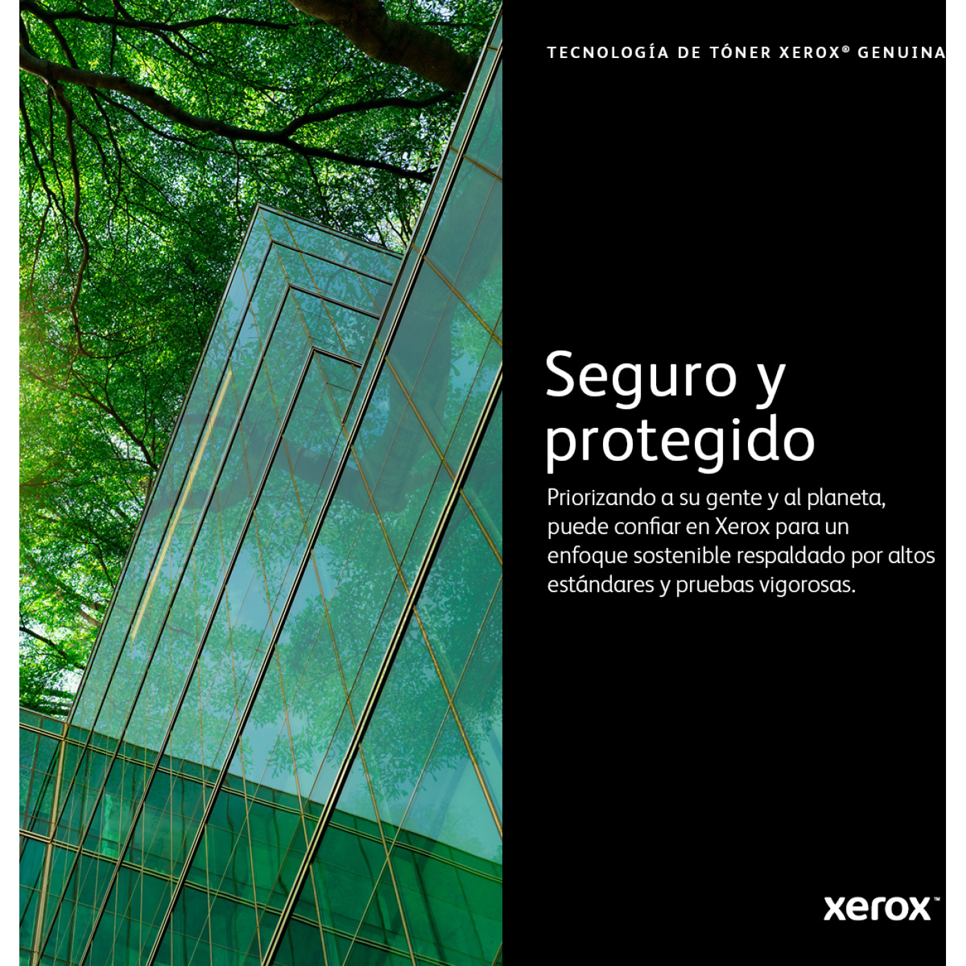 Tóner XEROX VersaLink C7020/7025/7030