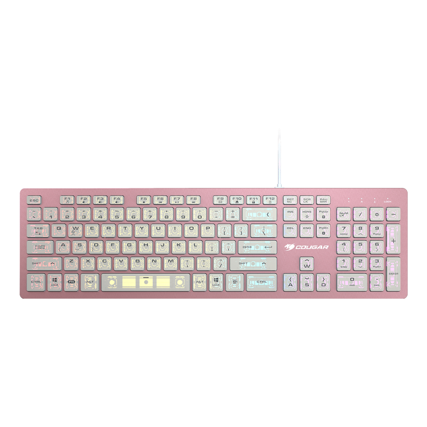 Teclado Cougar 37VAPXNMX