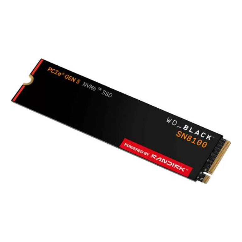 SSD SANDISK WDS100T1X0M
