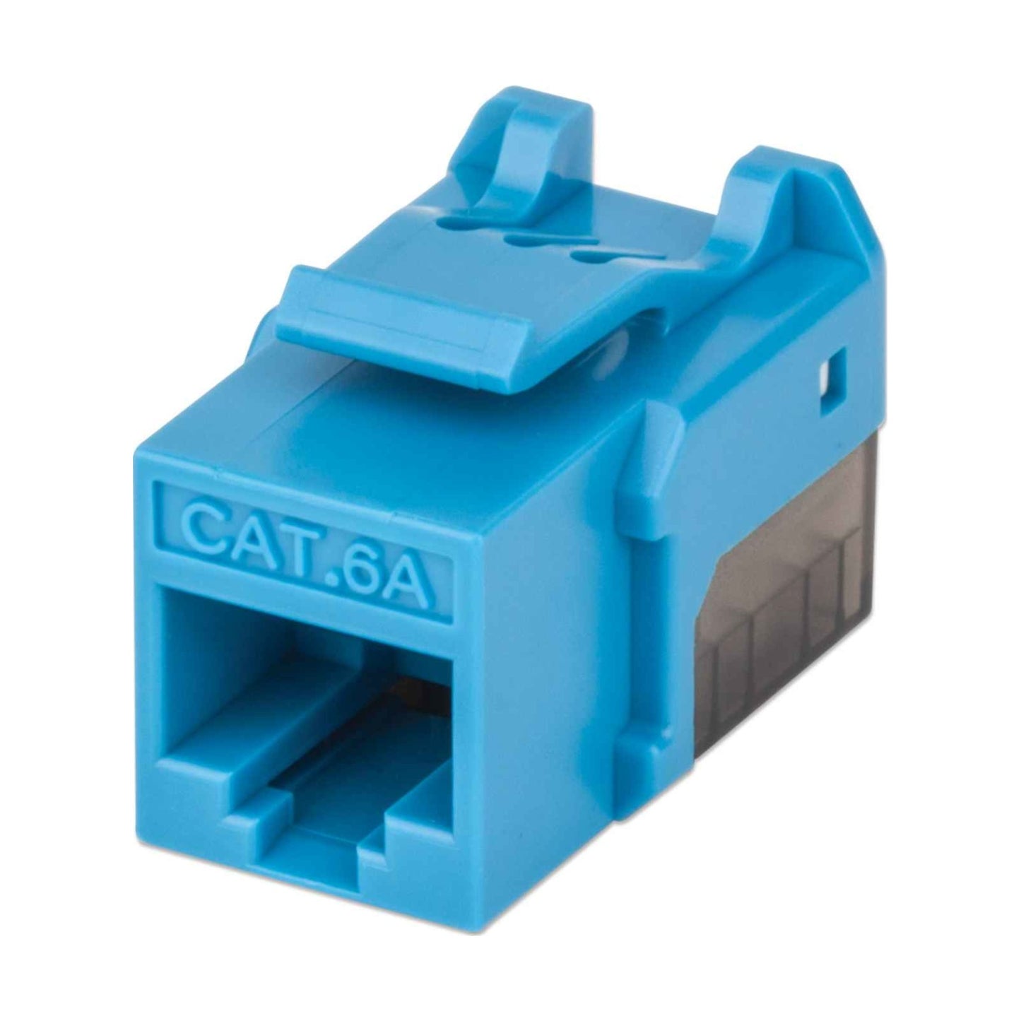 Keystone Jack INTELLINET 772334