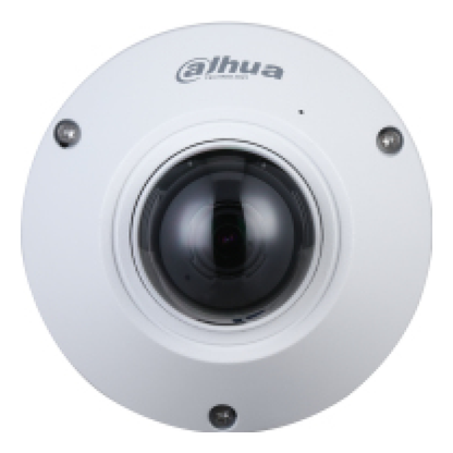 Cámara IP Dahua Technology DH-IPC-EB5541N-AS