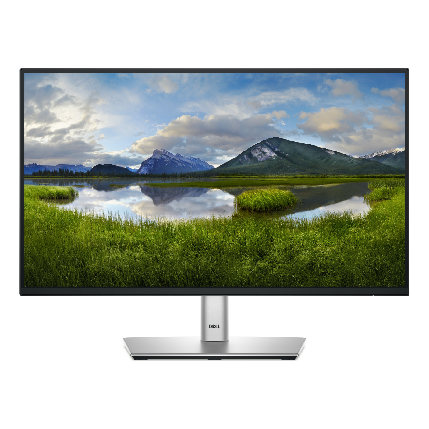 Monitor DELL 210-BLXJ