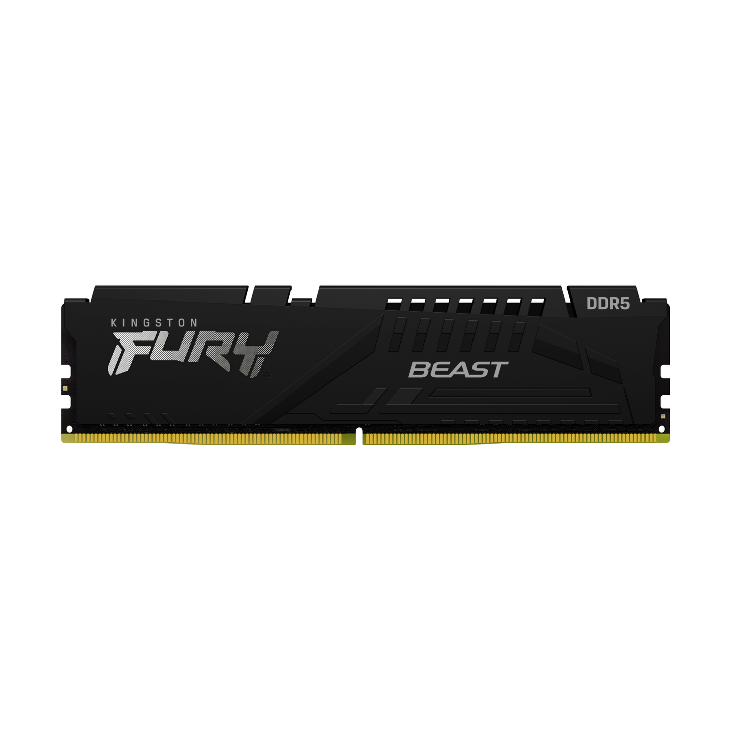 Memorias RAM Kingston Technology FURY BEAST