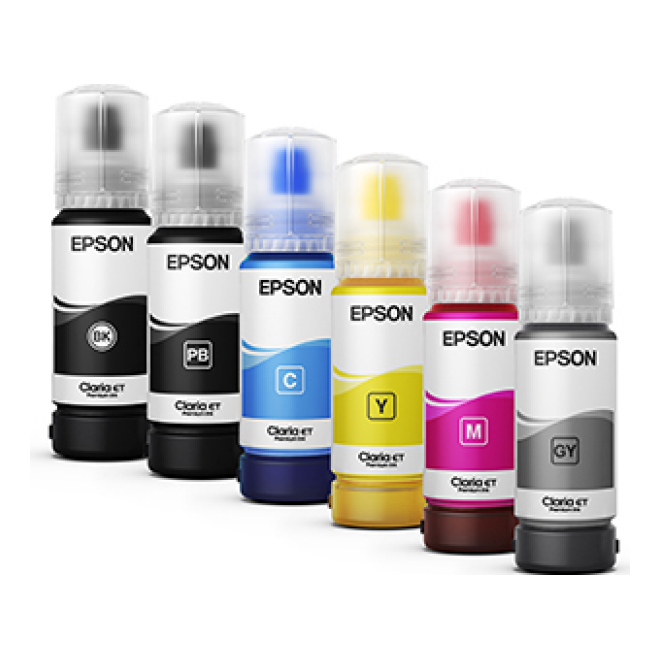 Cartucho  EPSON T555120-AL