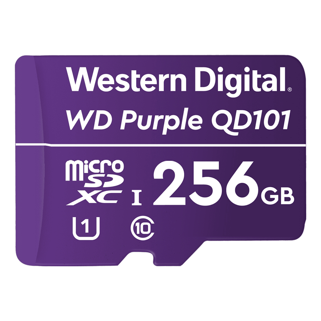 Memoria Micro SD WESTERN DIGITAL WDD256G1P0C
