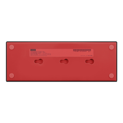 Docking Station LENOVO ThinkVision E24-29