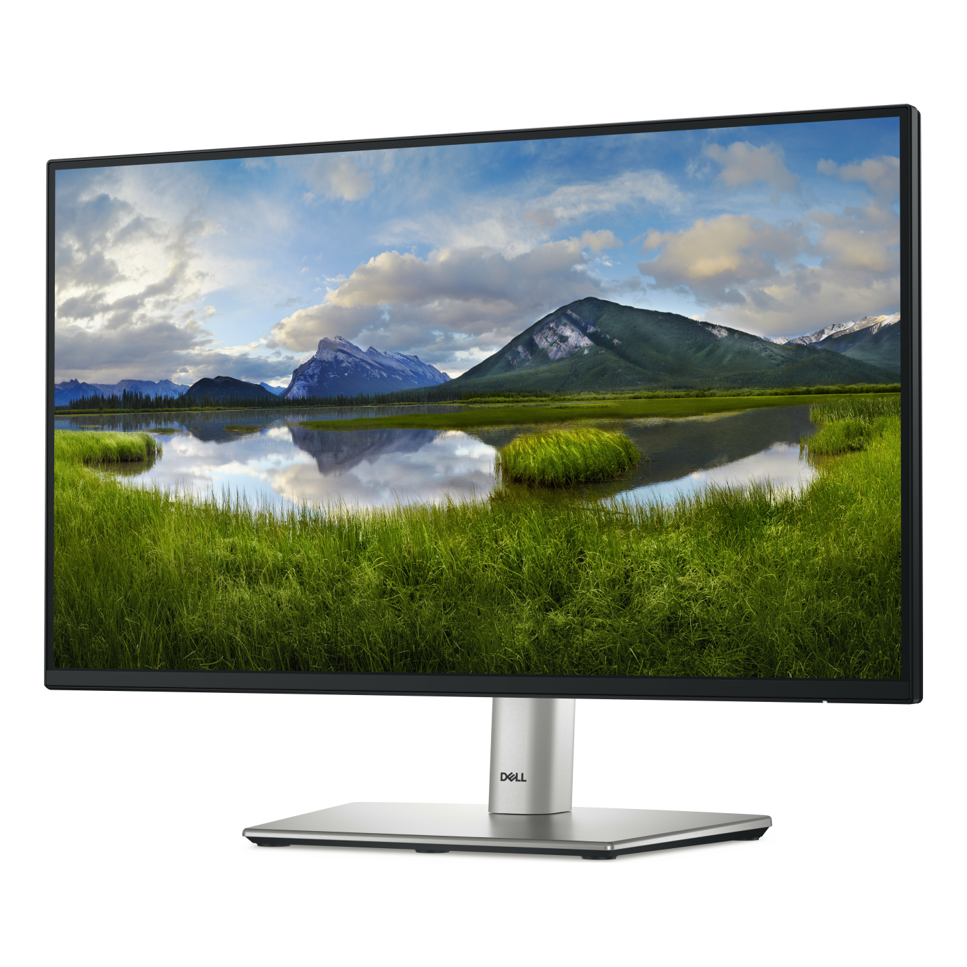 Monitor DELL 210-BLXJ