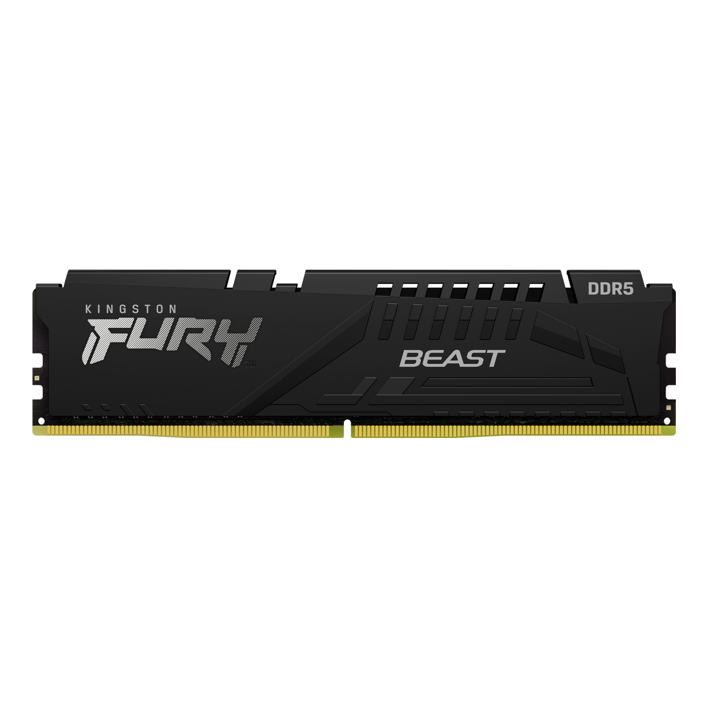 Memoria  Kingston Technology FURY Beast