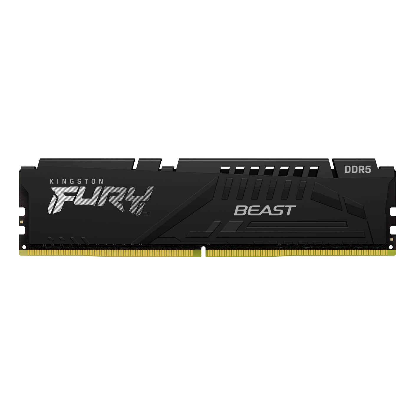 Memorias RAM Kingston Technology FURY BEAST EXPO