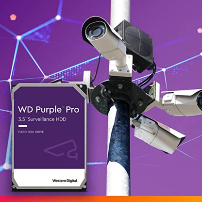 Disco Duro Interno WESTERN DIGITAL WD101PURP