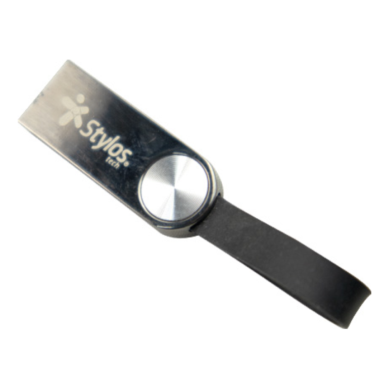 Memoria RAM Stylos STMUS316B