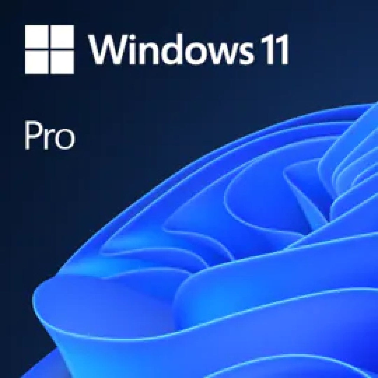 Sistema Operativo Microsoft Windows 11 Pro, Descarga Digital (FQC-10572)