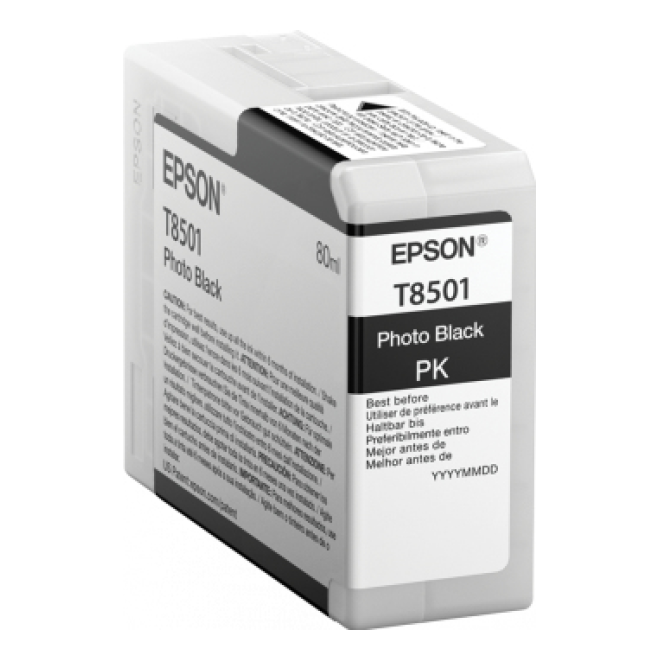 Cartucho EPSON T850100