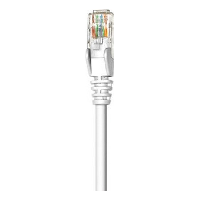 Cable de Red INTELLINET 341936