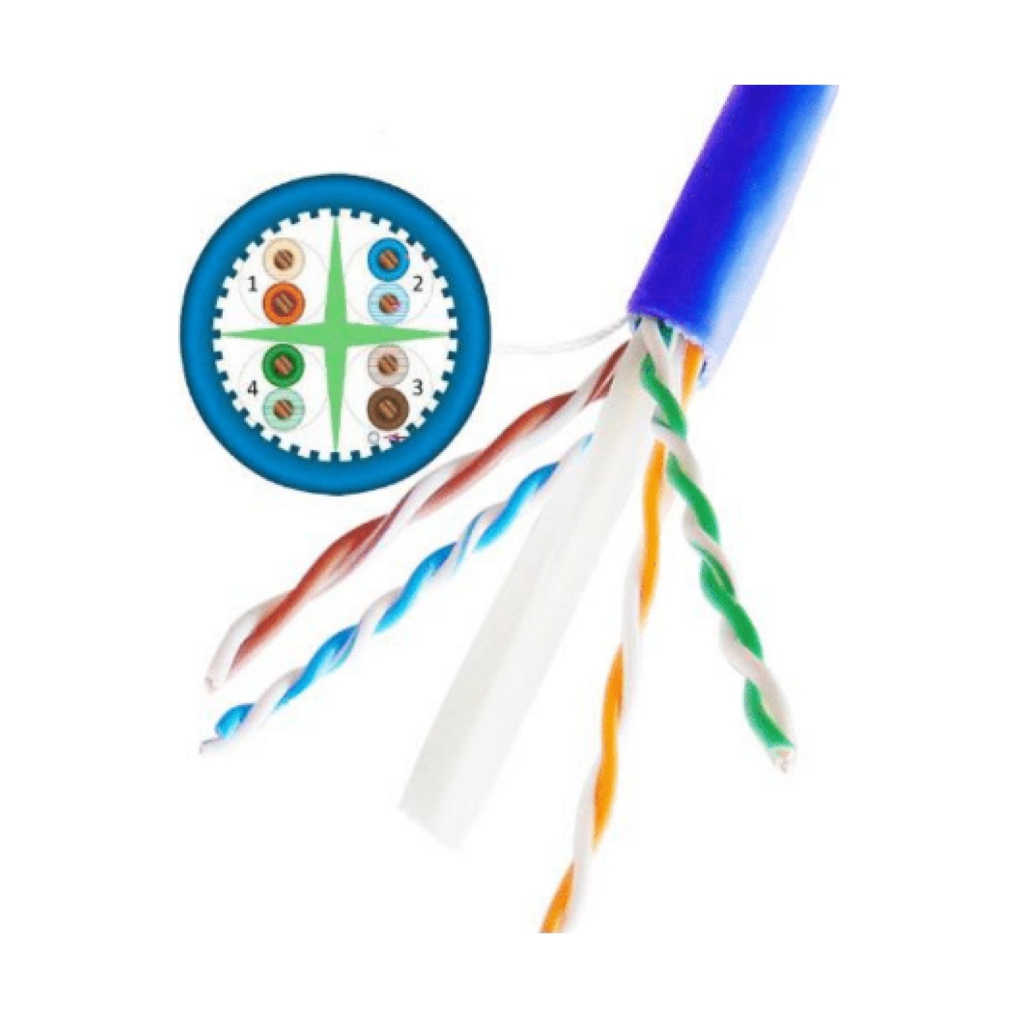 Bobina SAXXON OUTPCAT6AAZO