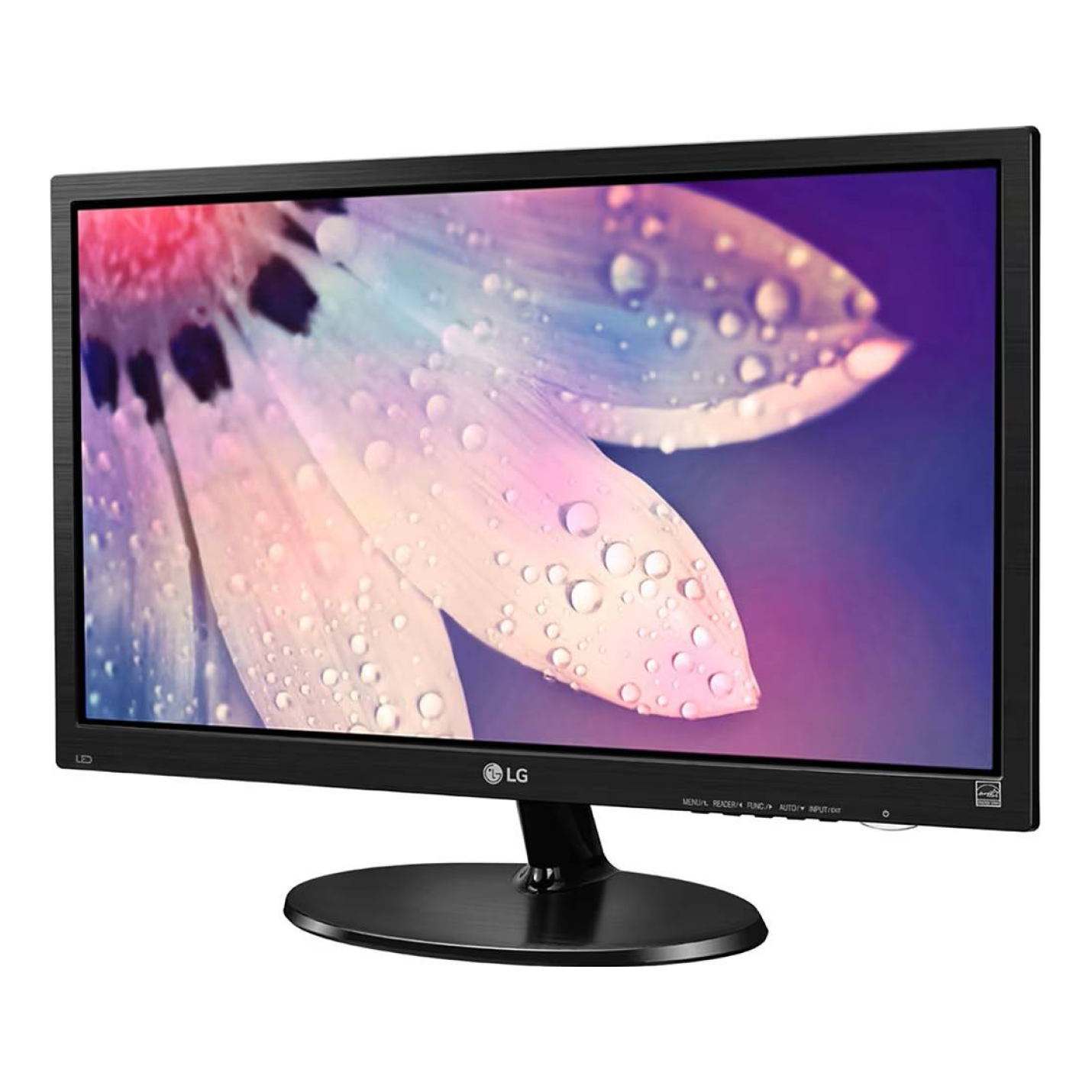Monitores LG 19M38L-B.AWM
