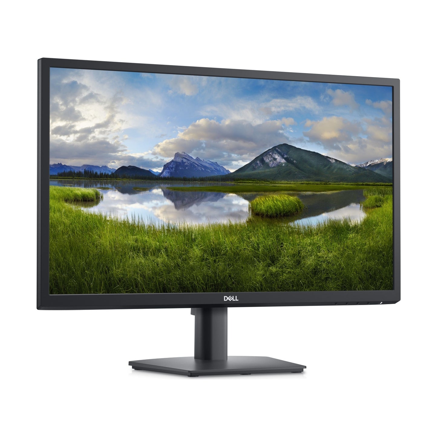 Monitor DELL E2423HN