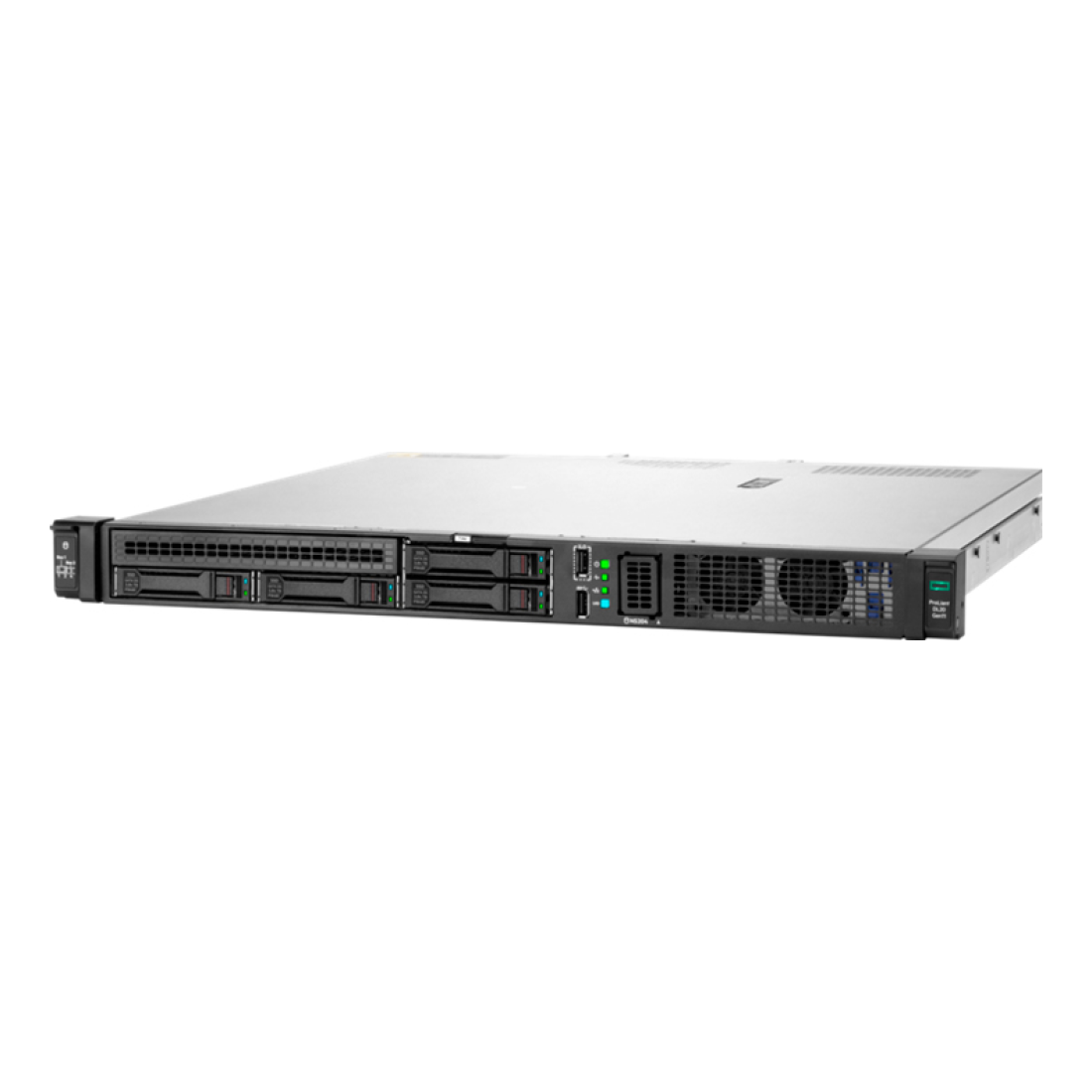 Servidor Hewlett Packard Enterprise ProLiant DL20 Gen11 Intel Xeon E-2434 3.4 GHz (P65395-B21)
