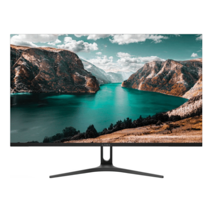 Monitor  LANIX LX215
