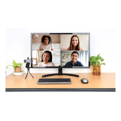 Cámara Web MANHATTAN 462549