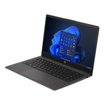 Laptops HP HP 245 G10