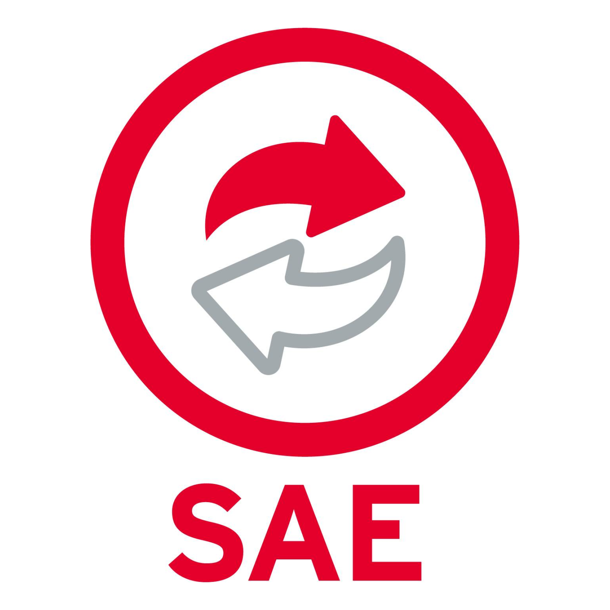Software Administrativo Aspel SAE 10, Licencia para Usuario Adicional, 2 Usuarios, Físico (PSAEL2N)