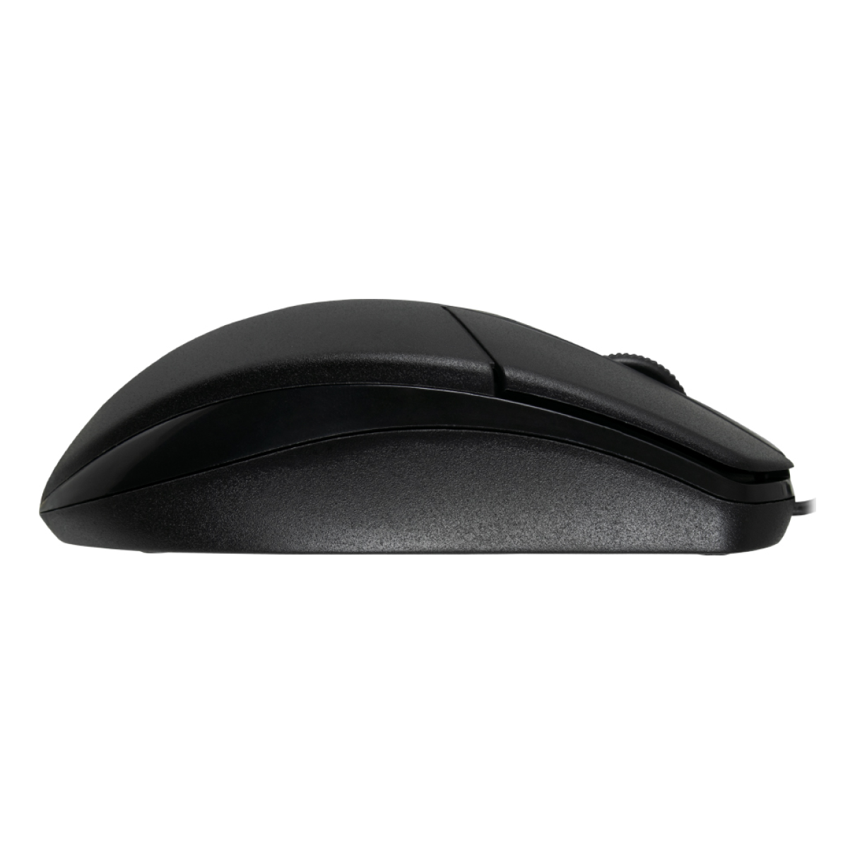 Mouse ACTECK ENTRY