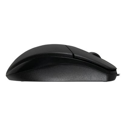 Mouse ACTECK ENTRY