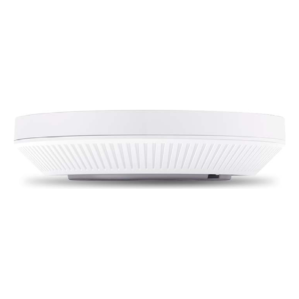 Access Point Omada EAP613