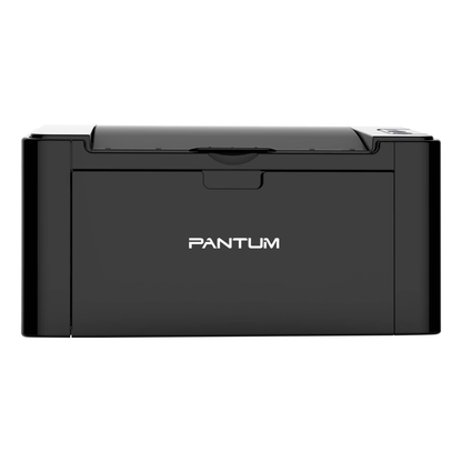 Impresora Pantum P2500W