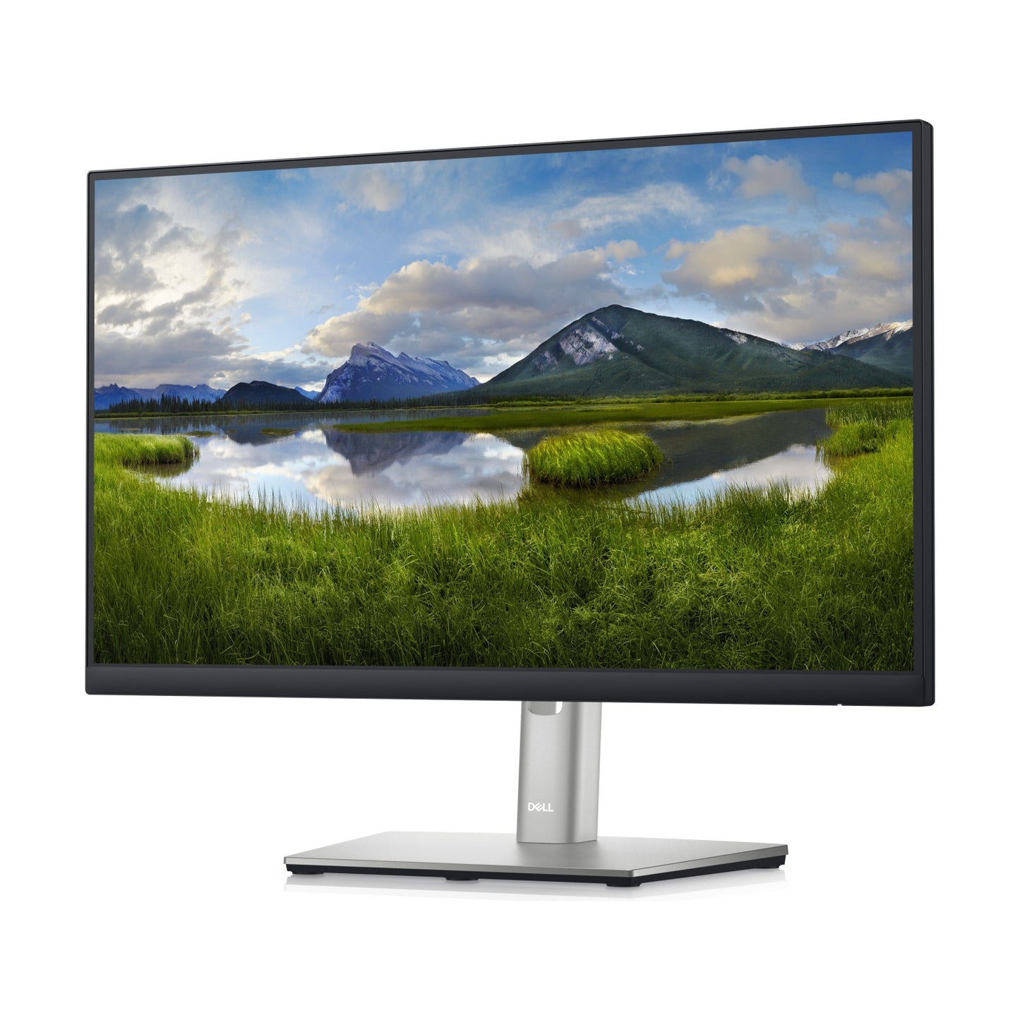 Monitor  DELL P2222H