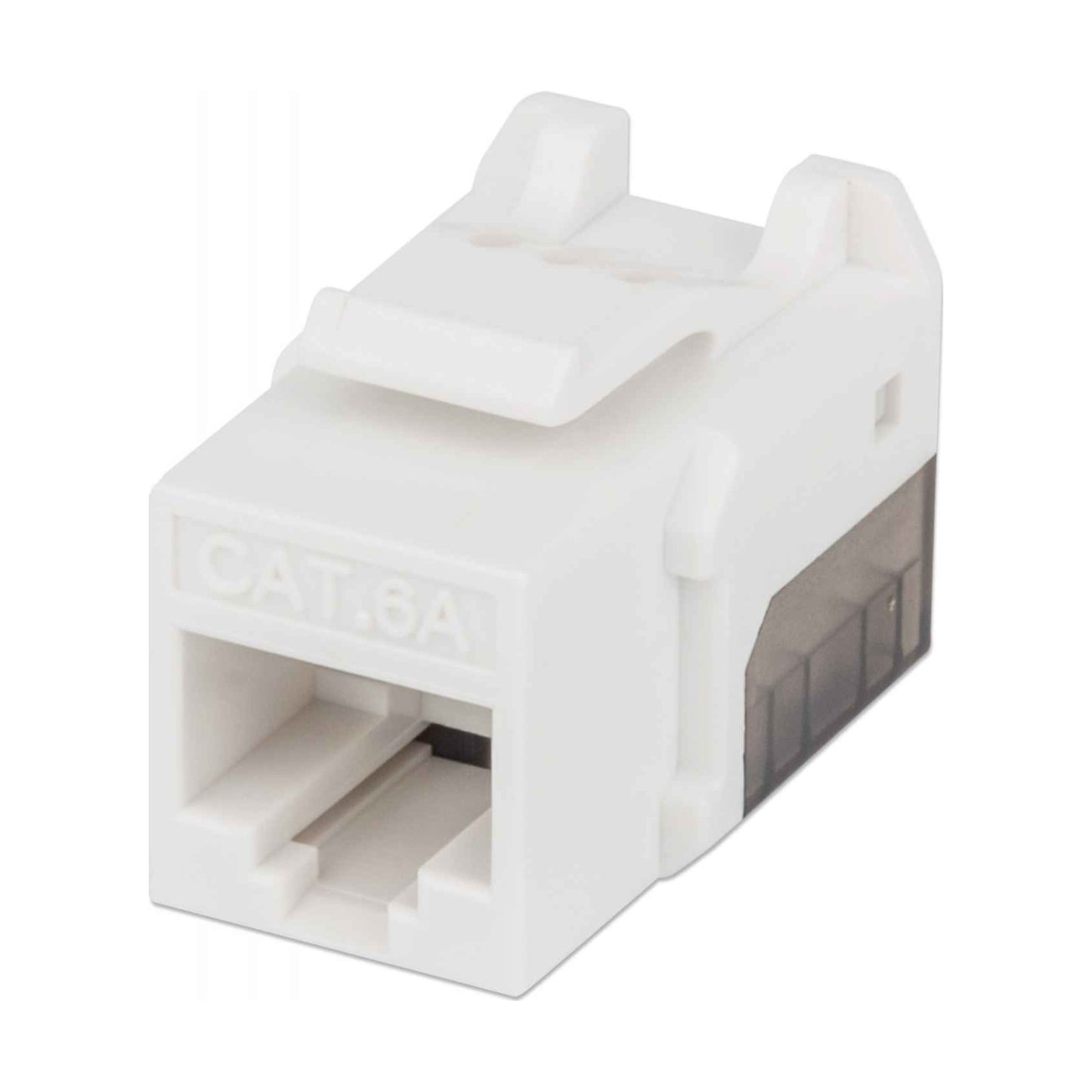 Keystone Jack INTELLINET 772358