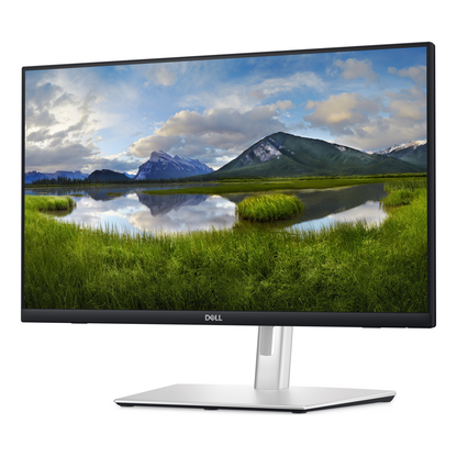 Monitor DELL P2424HT