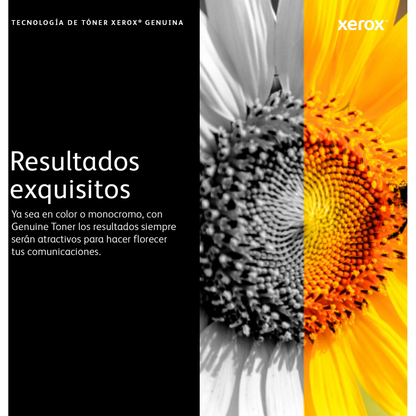 Tóner Xerox 106R03748 Cian para VersaLink C7020, VersaLink C7025, VersaLink C7030