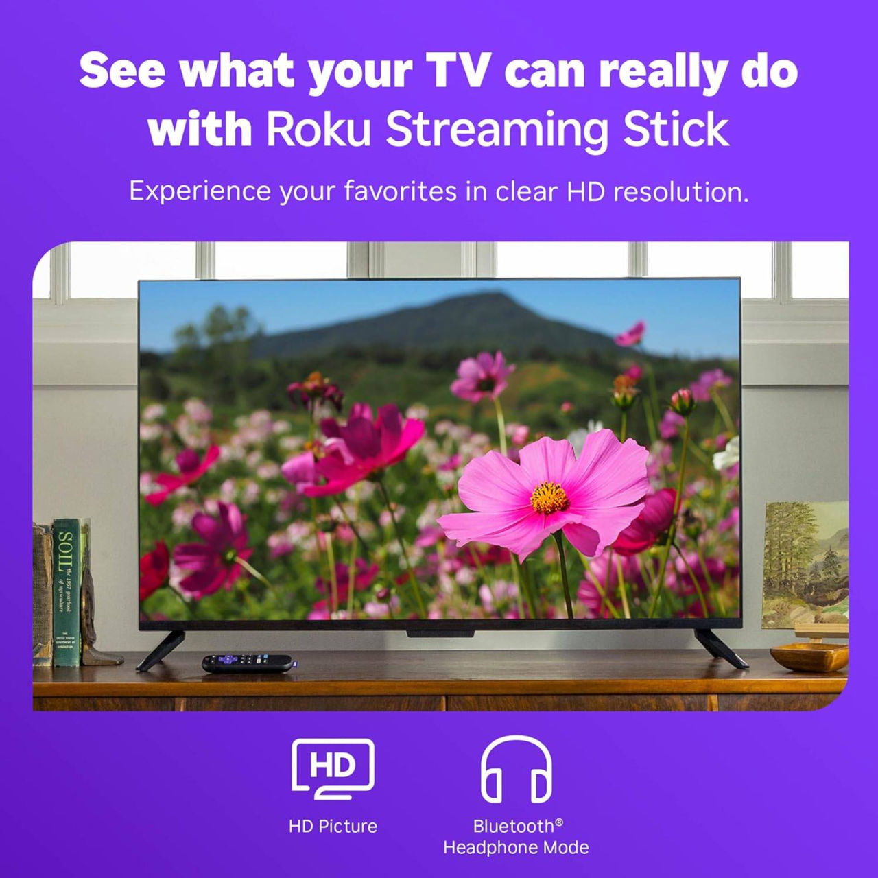 Streaming Roku 3840R